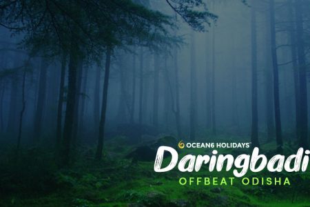 Daringbadi packages