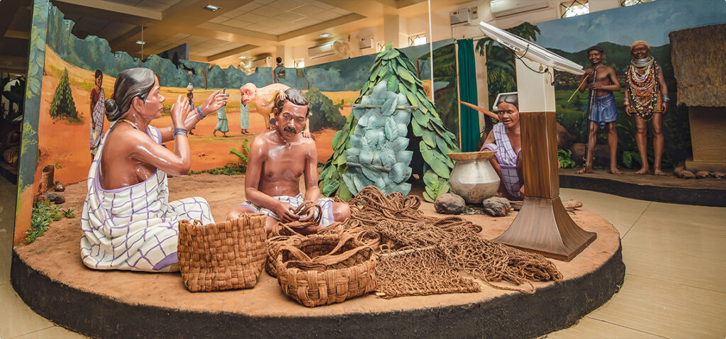 Museums05-Display gallery at Tribal Museum