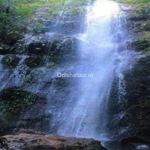 Angul - ODISHA'S LARGEST DMC